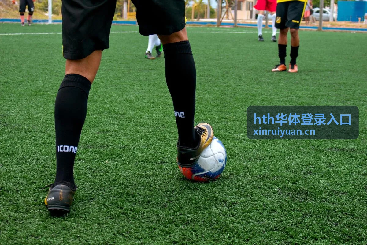 hth华体登录入口 活动报名要点