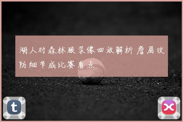 湖人对森林狼录像回放解析 詹眉攻防细节成比赛看点