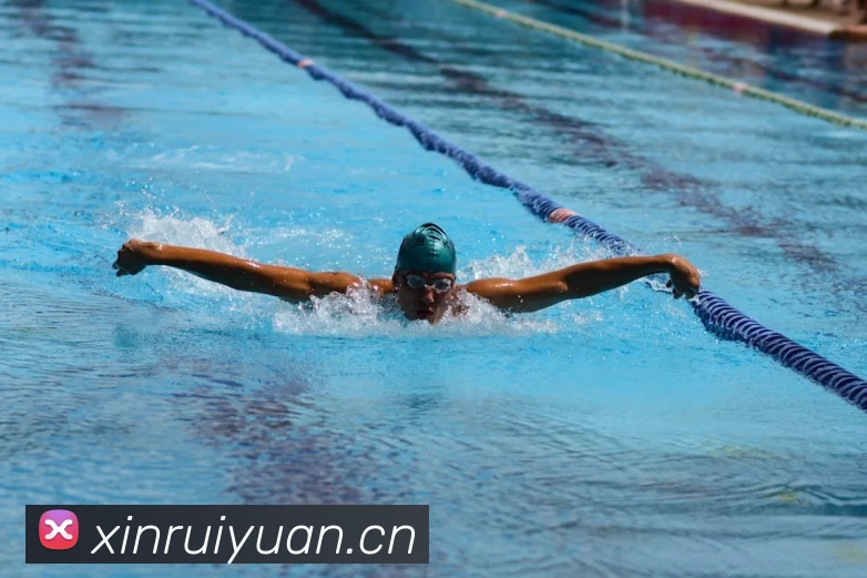 世界杯官网平台平台生态图